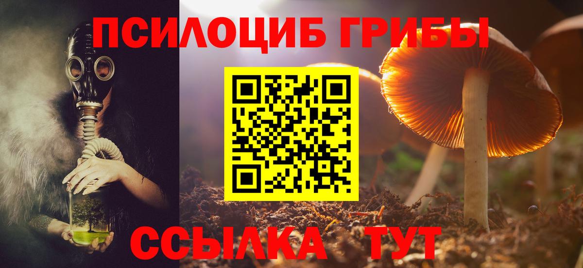 Псилоцибиновые грибы мицелий  Вход с VPN  Кушва 